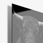 Midnight Bull - Glas