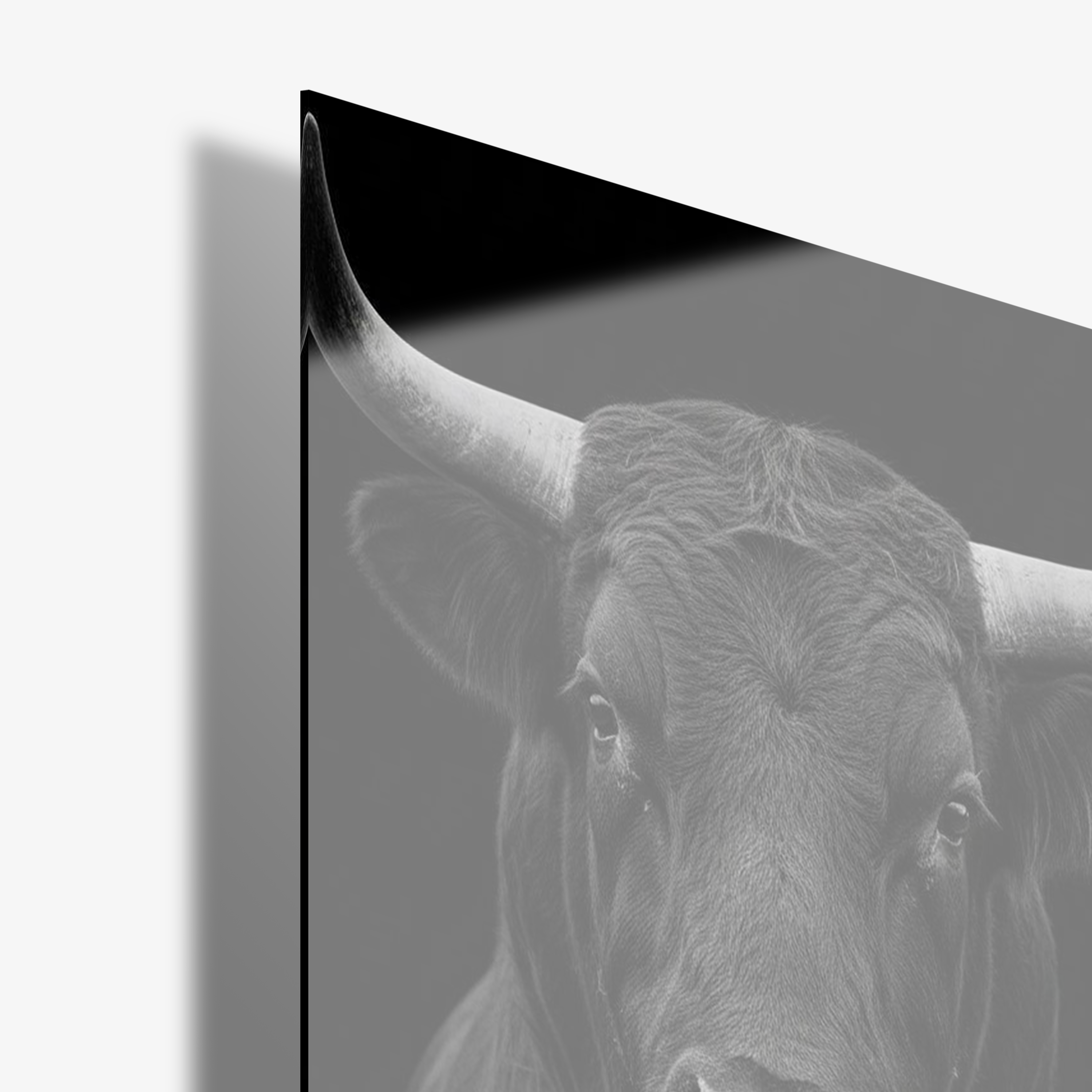 Midnight Bull - Glas