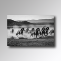 Mustangs - Glas