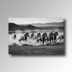 Mustangs - Glas