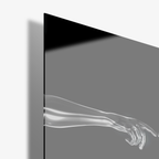 Silver Touch - Glas