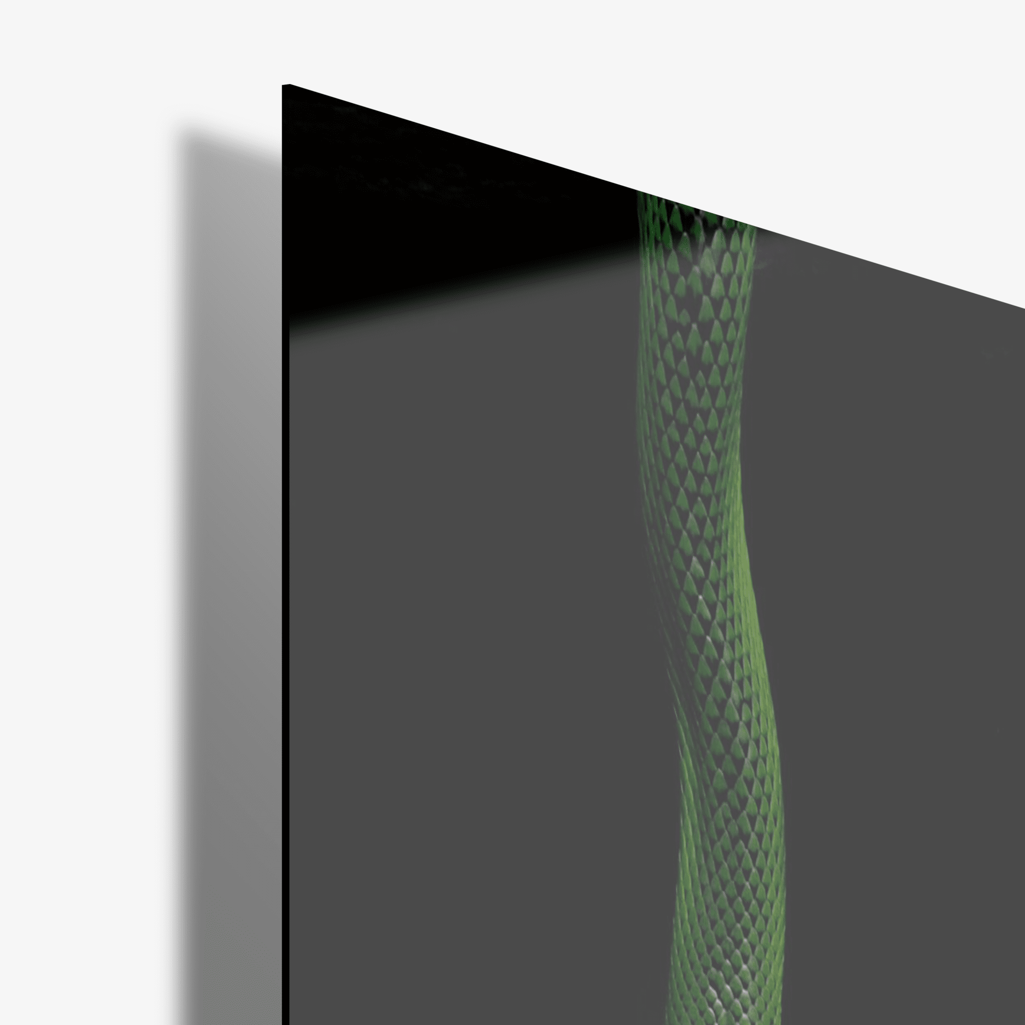 Green Venom - Glas - Gallery Empire