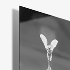 Luxury Car - Glas - Gallery Empire