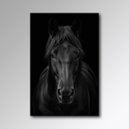 Midnight Horse - Glas - Gallery Empire