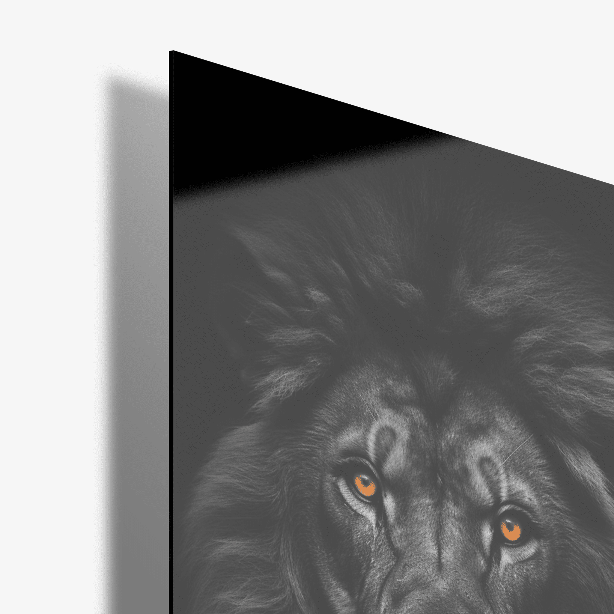 The Black Lion - Glas - Gallery Empire